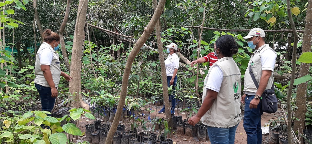 ICBF y Programa Mundial de Alimentos implementan iniciativas para beneficiar a 160 familias víctimas en Cesar