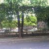 Cúcuta Cúcuta