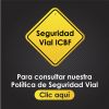 Política de Seguridad Vial del ICBF Política de Seguridad Vial del ICBF
