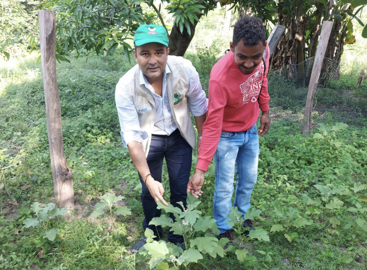 ICBF en Cesar impulsa la iniciativa Cosechando sueños, cultivando amor