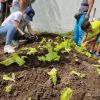 ICBF y Secretaría de Agricultura de Manizales trabajan por el medio ambiente con la primera infancia ICBF y Secretaría de Agricultura de Manizales trabajan por el medio ambiente con la primera infancia