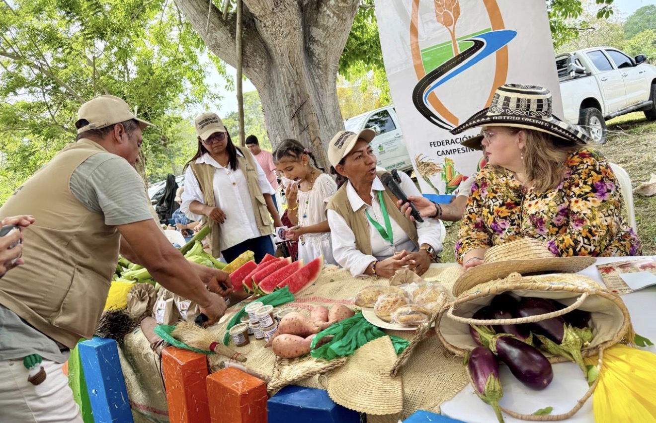 El Caribe campesino entró a la cadena pública de alimentación con ventas directas y sin intermediarios