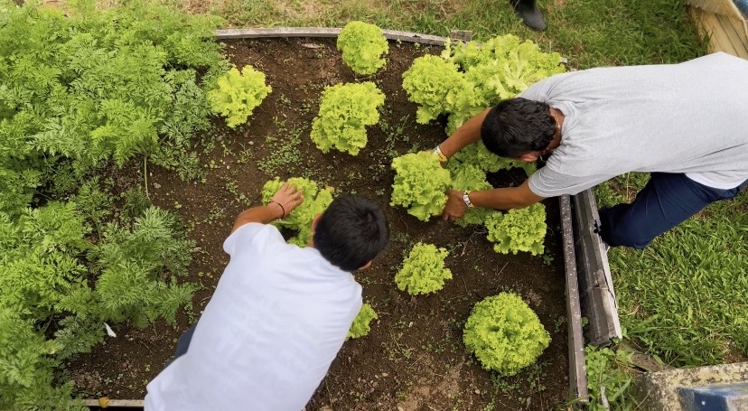 Jóvenes fortalecen sus habilidades y talentos en el Centro de Atención Especializada La Primavera