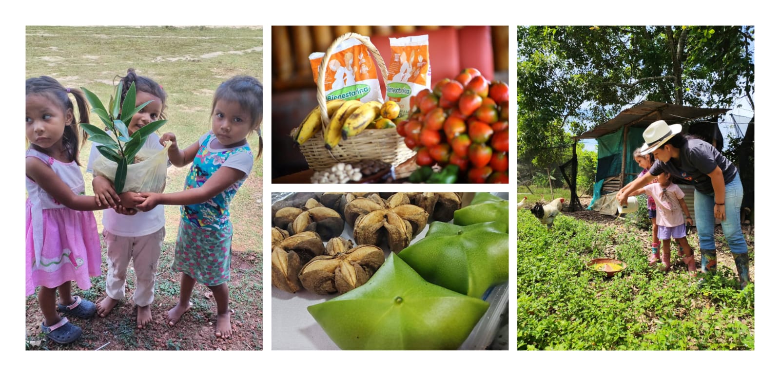 Desde el Bienestar Familiar impulsamos la reforma agraria a través de la alimentación de la niñez colombiana
