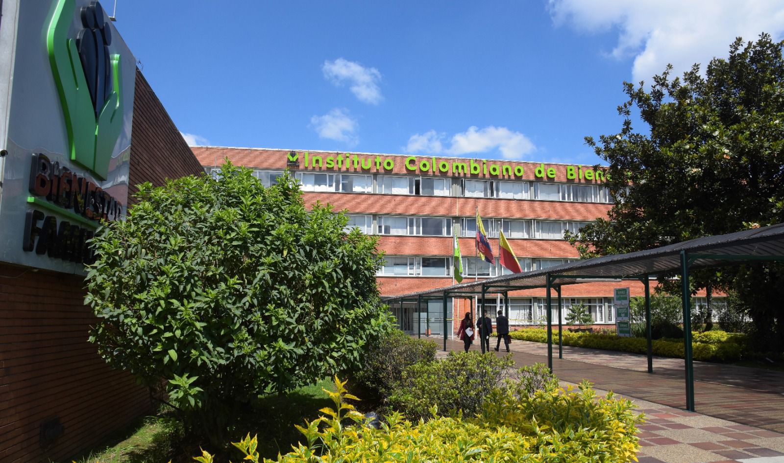 A consulta ciudadana, Creación del Grupo Consultivo de las Hijas e Hijos del ICBF de la Dirección General