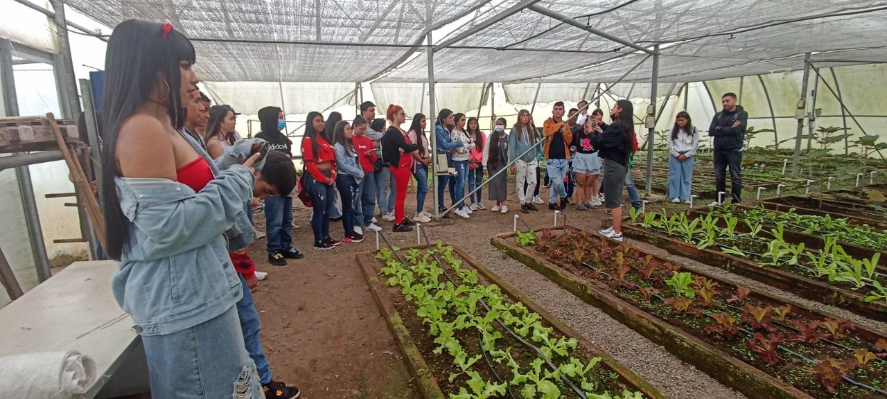 ICBF impulsa proyectos de vida de 1800 adolescentes y jóvenes en Risaralda