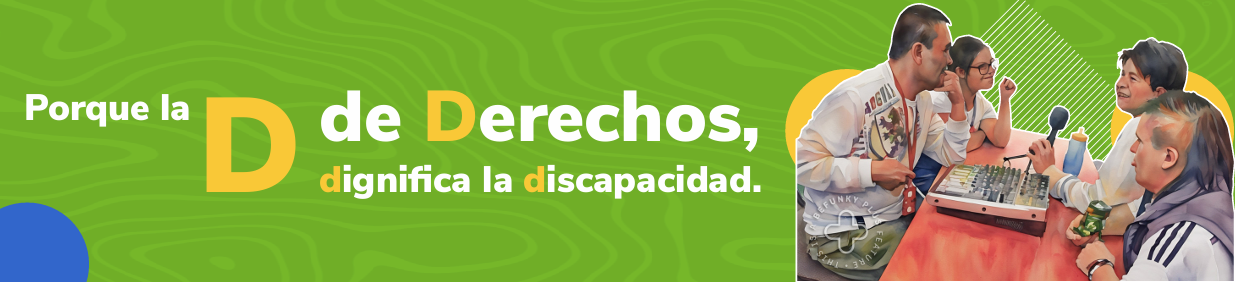 día de la discapacidad