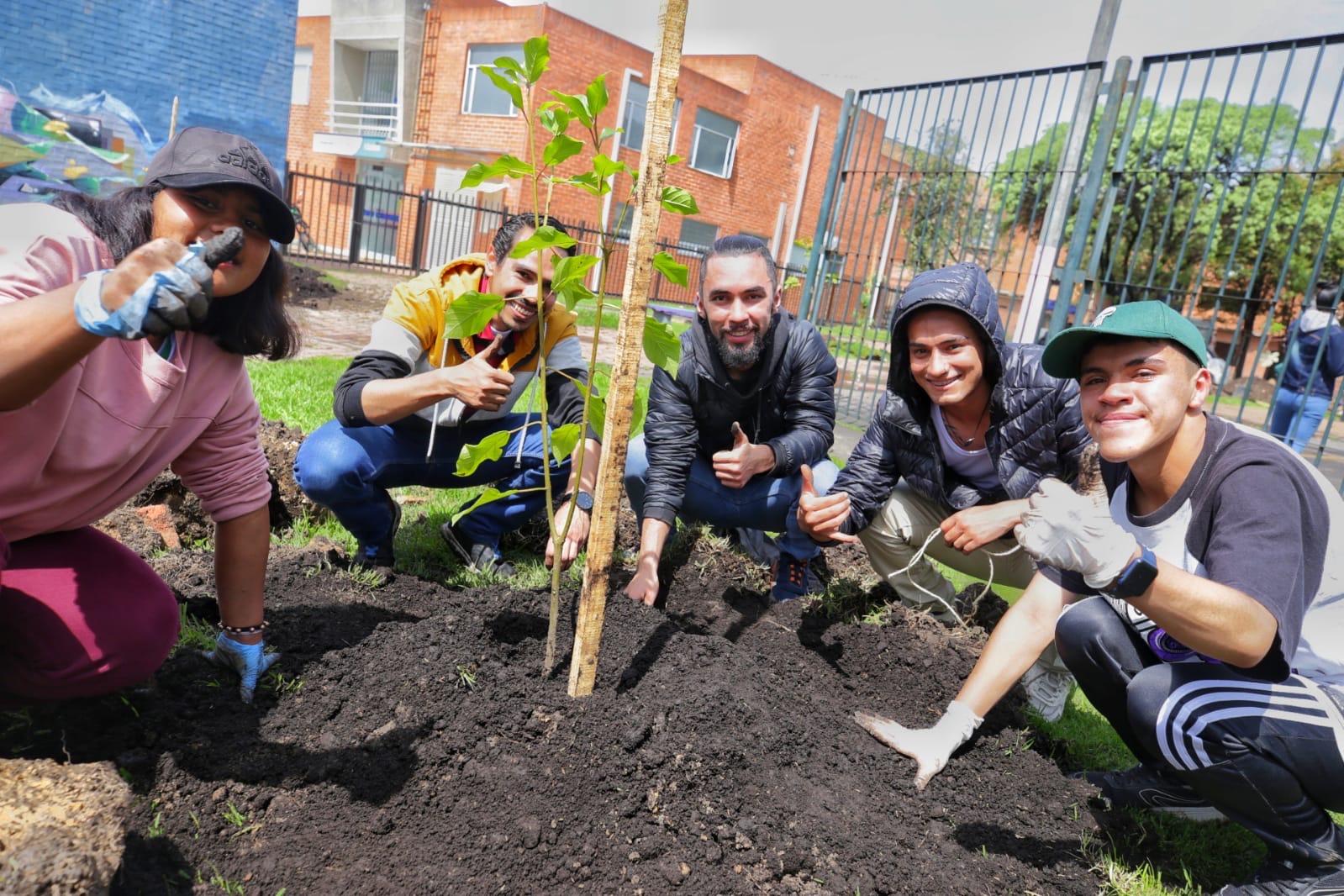 Adolescentes bajo protección del ICBF sembraron árboles en Bogotá