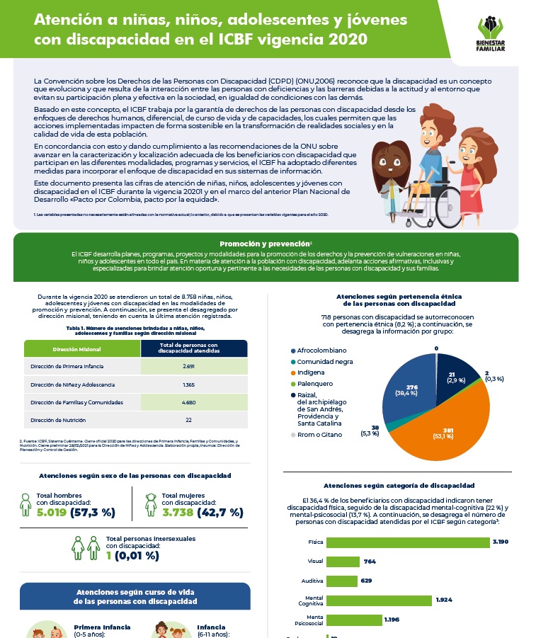 Infografía Discapacidad 2020 Infografía Discapacidad 2020