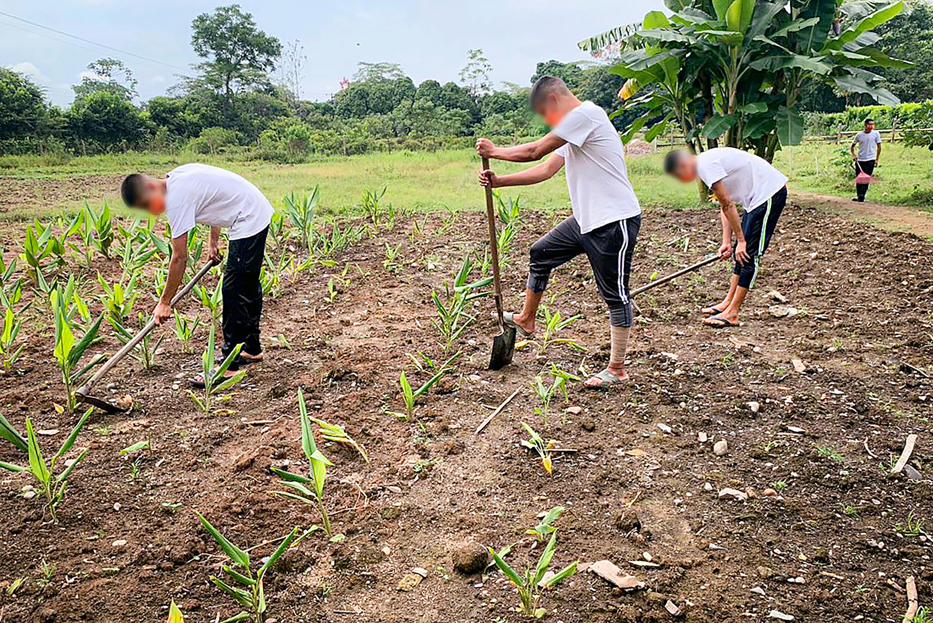 ICBF promueve proyectos productivos de adolescentes y jóvenes de Responsabilidad Penal en Villavicencio ICBF promueve proyectos productivos de adolescentes y jóvenes de Responsabilidad Penal en Villavicencio