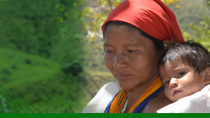 Familia y comunidades