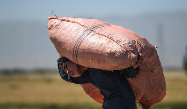 ICBF dice que se ha reducido el trabajo infantil en Colombia