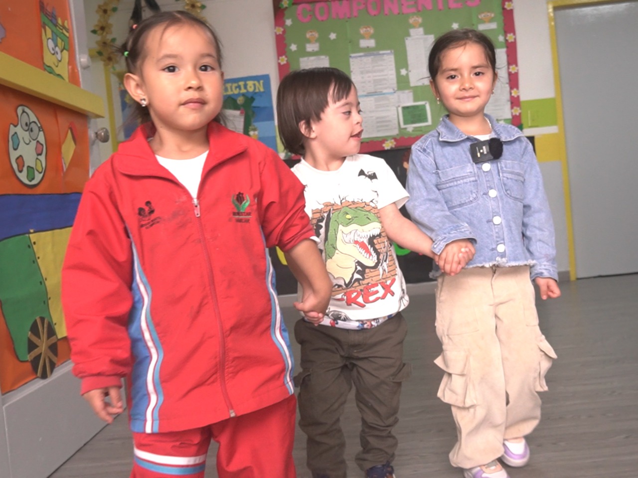 día de la discapacidad