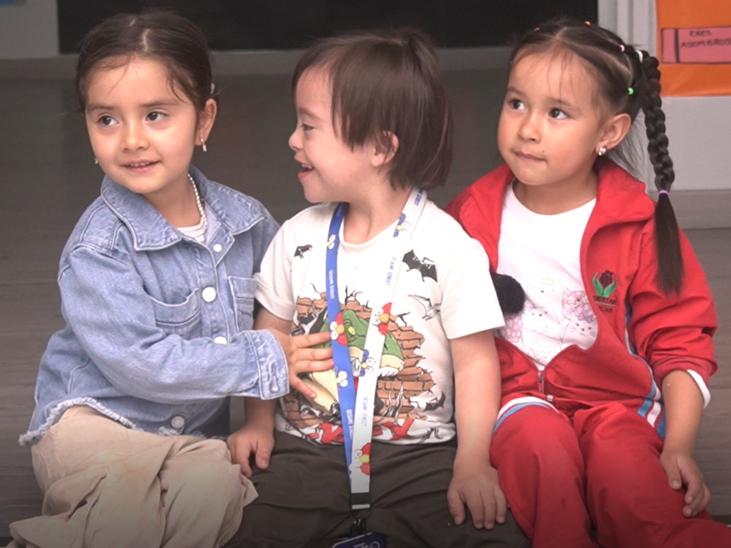 día de la discapacidad