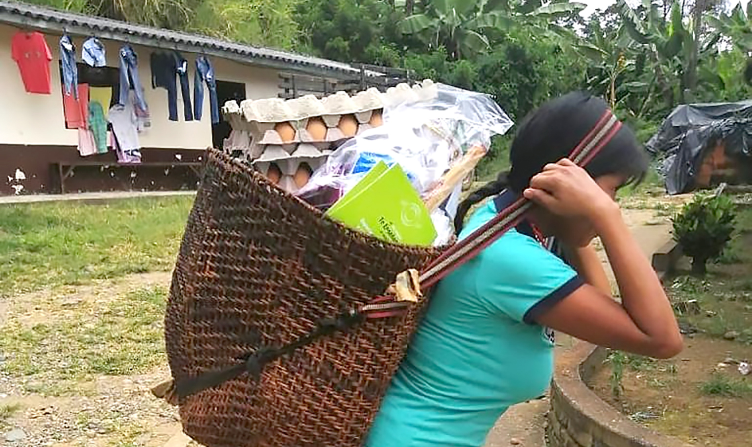 ICBF brinda atención integral a familias Embera Katío en Sevilla, Valle del Cauca ICBF brinda atención integral a familias Embera Katío en Sevilla, Valle del Cauca