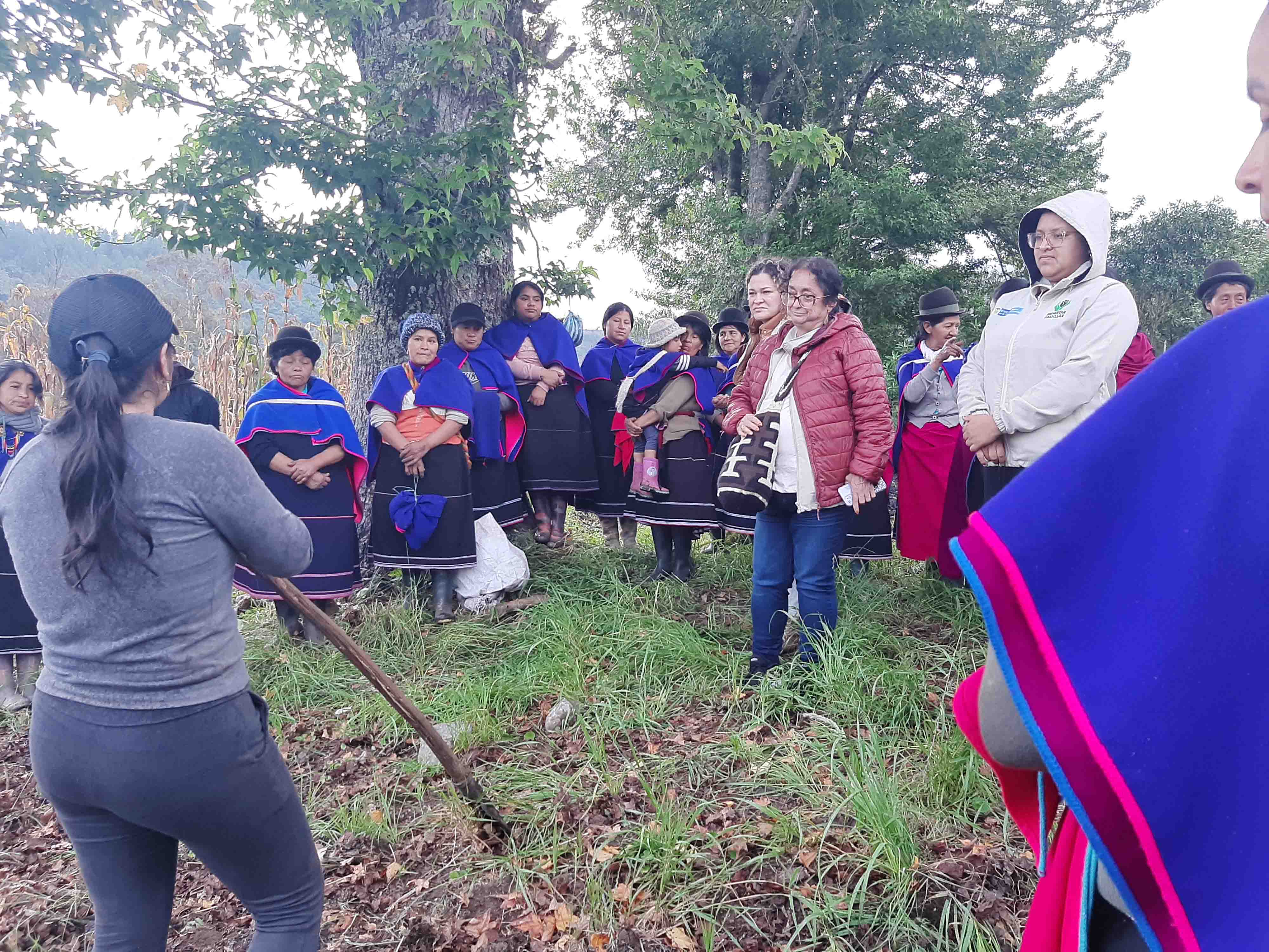 Unidades móviles del ICBF desarrollaron proyectos para el fortalecimiento familiar y comunitario en el Cauca