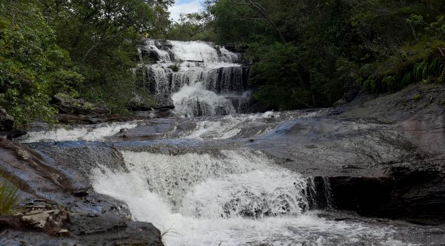 ¿Cómo cuidar el agua?