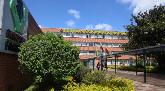 Nunca más la niñez en la guerra: Bienestar Familiar reitera su llamado a dejar a los niños y niñas por fuera del conflicto