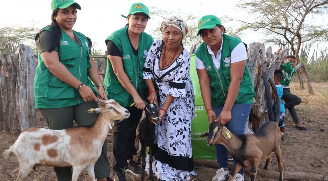 Familias de Sarrutsira fortalecen su seguridad alimentaria con proyecto caprino impulsado por Bienestar Familiar