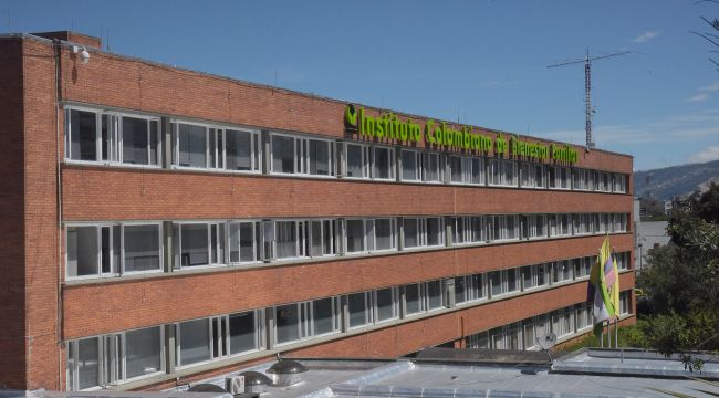 Bienestar Familiar reitera las garantías y controles que rigen los procesos de adopción internacional en Colombia