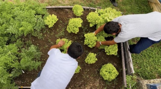 Jóvenes fortalecen sus habilidades y talentos en el Centro de Atención Especializada La Primavera