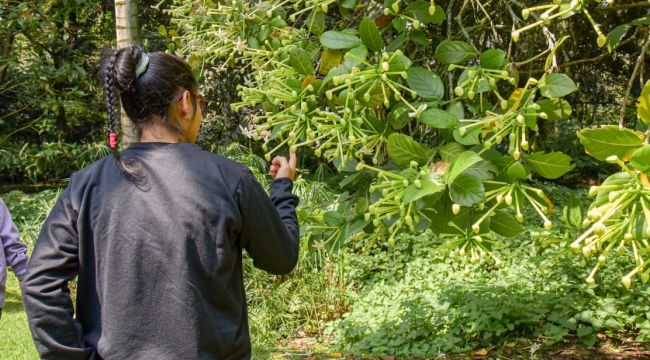 Bienestar Familiar lanza guía para avanzar en la desinstitucionalización y fortalecer el cuidado familiar y comunitario