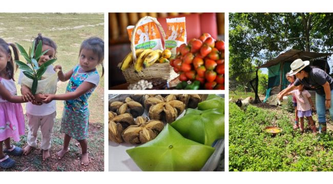 Desde el Bienestar Familiar impulsamos la reforma agraria a través de la alimentación de la niñez colombiana