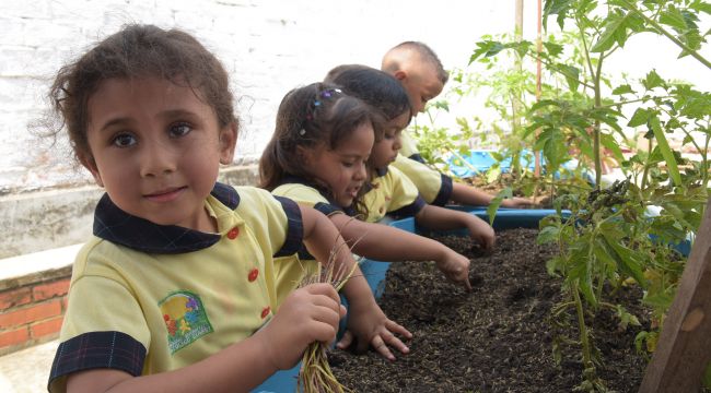 Ahorrar es un hábito necesario y debe empezar en familia  Portal ICBF -  Instituto Colombiano de Bienestar Familiar ICBF