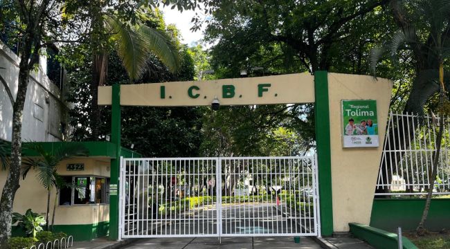 Bienestar Familiar lamenta profundamente el fallecimiento de la bebé víctima de presunta violencia sexual en Tolima