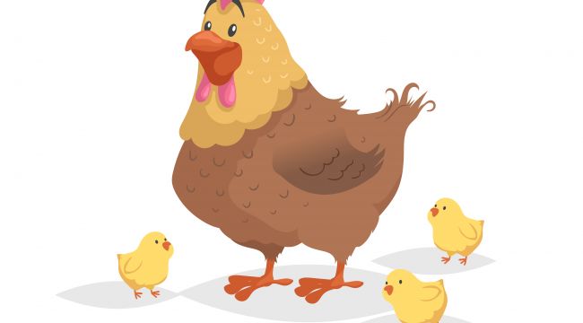 La gallina sabia La gallina sabia