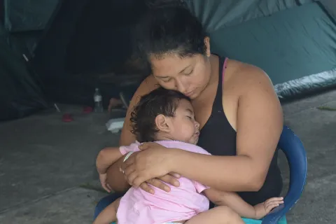 fijacion_de_custodia