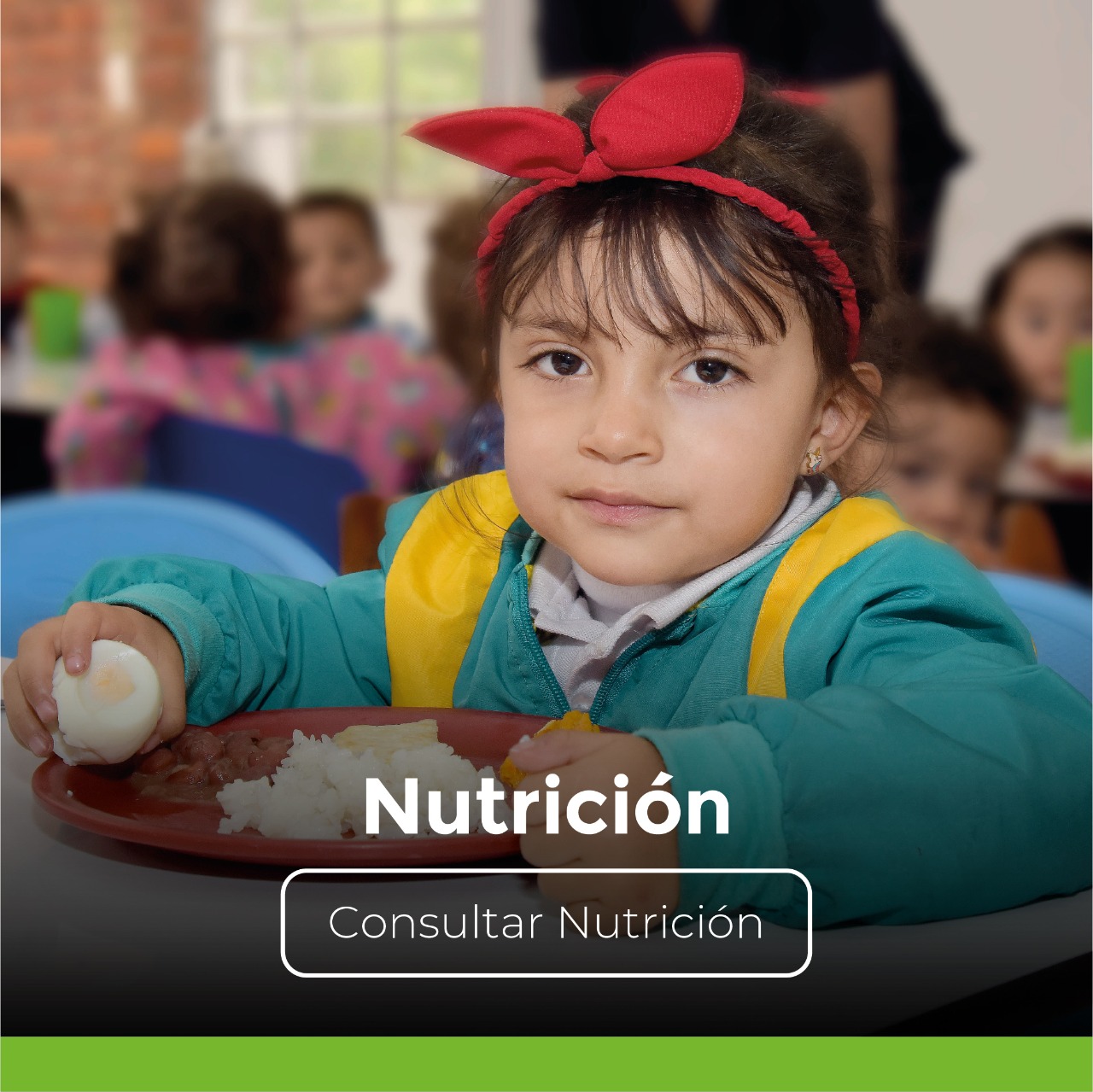 Nutrición Nutrición